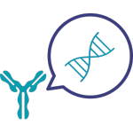 Anticorps-monoclonaux-recombinants Anticorps-monoclonaux-recombinants