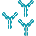 Anticorps_polyclonaux Anticorps_polyclonaux
