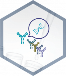 Logo Synthetic library Logo Synthetic library
