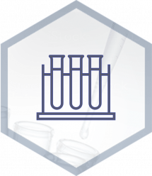 Logo IA Logo IA